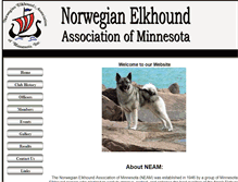 Tablet Screenshot of neam.us